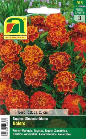 [0] Studentenblume Bolero (Tagetes patula)