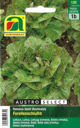[0] Kochsalat, Romana-Salat Forellenschluß