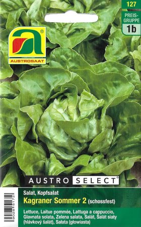 [0] Kopfsalat Kagraner Sommer 2