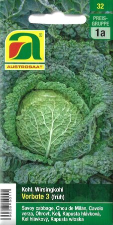 [0] Wirsingkohl Vorbote 3