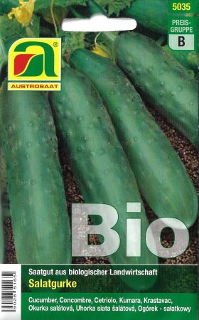 [0] Salatgurke Marketmore - Bio