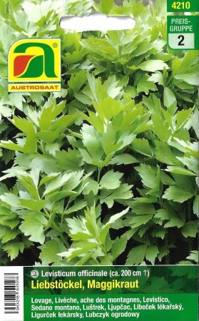 [0] Liebstöckel, Maggikraut (Levisticum officinale)