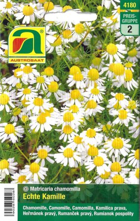 [0] Echte Kamille (Matricaria chamomilla)