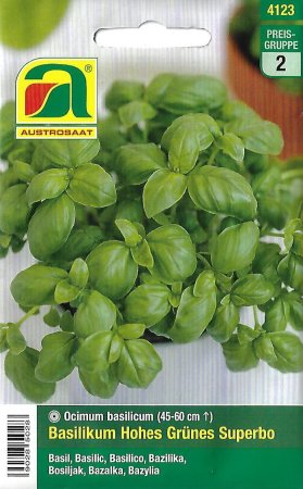 [0] Basilikum Hohes Grünes Superbo (Ocimum basilicum)