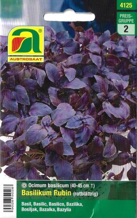 [0] Basilikum Rubin (Ocimum basilicum)