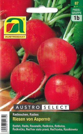 [0] Radieschen Riesen von Aspern