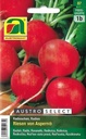 Radieschen Riesen von Aspern
