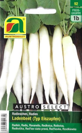 [0] Radieschen Ladenbeet (Typ Eiszapfen)