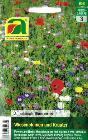 [0] Naturnahe Blumenwiese - Wiesenblumen und Kräuter