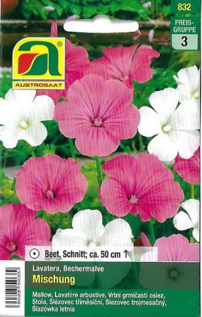 [0] Bechermalve Mischung (Lavatera trimestris)