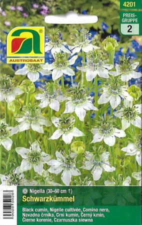 [0] Schwarzkümmel (Nigella sativa)