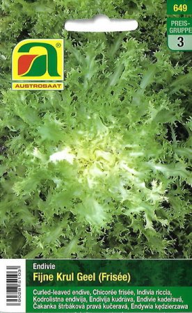 [0] Endivie Fijne Krul Geel (Frisée)