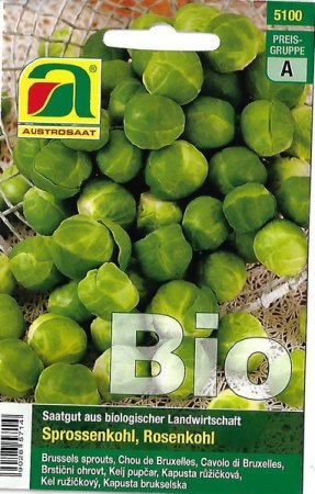 [0] Sprossenkohl, Rosenkohl Groninger - Bio