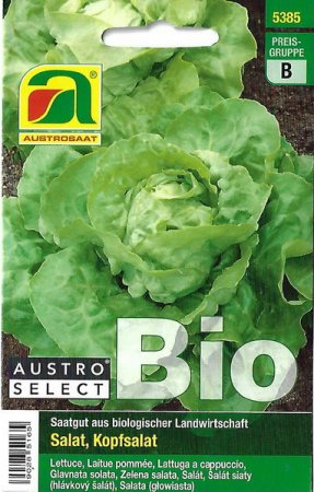 [0] Salat, Kopfsalat Admiral - Bio