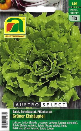 [0] Salat, Schnittsalat, Pflücksalat Grüner Eishäuptel