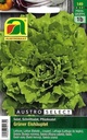 Salat, Schnittsalat, Pflücksalat Grüner Eishäuptel
