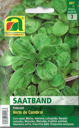 [0] Vogerlsalat, Feldsalat Verte de Cambrai