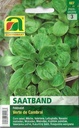 Vogerlsalat, Feldsalat Verte de Cambrai
