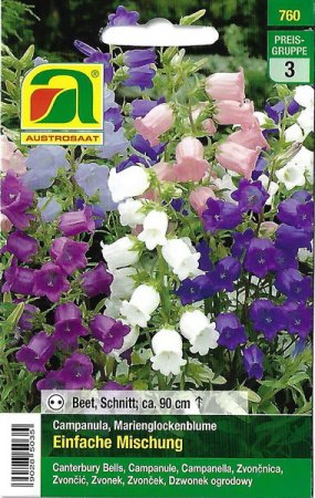 [0] Marienglockenblume Einfache Mischung (Campanula medium)