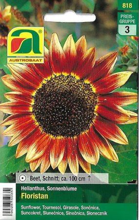 [0] Sonnenblume Floristan (Helianthus annuus)
