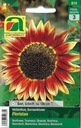 Sonnenblume Floristan (Helianthus annuus)