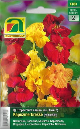 [0] Kapuzinerkresse halbgefüllt, niedrig (Tropaeolum nanum)