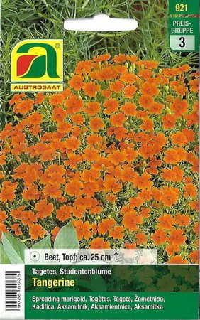 [0] Studentenblume Tangerine (Tagetes tenuifolia)