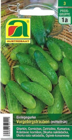 [0] Gurke, Einlegegurke Vorgebirgstrauben (Cucumis sativus)