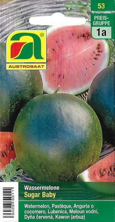[0] Wassermelone Sugar Baby (Citrullus lanatus (Thunb.) Matsum. et Nakai)