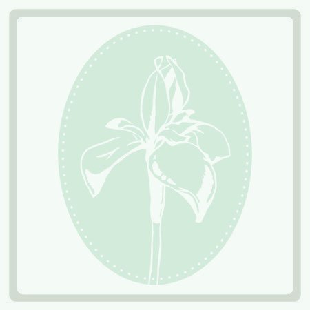 [0] Epimedium x versicolor ' Sulphureum' - Elfenblume