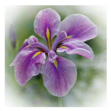 [GIFT_20] Online-Gutschein € 20,-